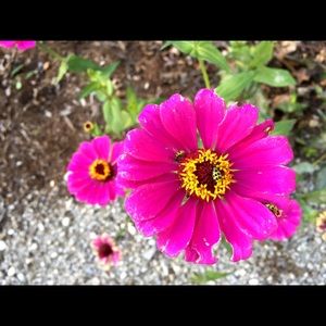 Meet your Posher, Whitney